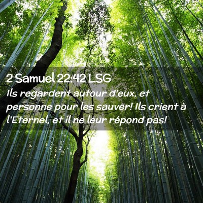 Picture 02 - 2 Samuel 22:42 LSG - Ils regardent autour d'eux, et personne pour les - Bible Verse Picture