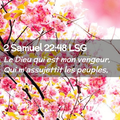 Picture 02 - 2 Samuel 22:48 LSG - Le Dieu qui est mon vengeur, Qui m'assujettit les - Bible Verse Picture