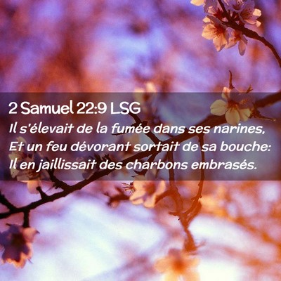 Picture 02 - 2 Samuel 22:9 LSG - Il s'élevait de la fumée dans ses narines, Et - Bible Verse Picture