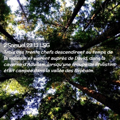 Picture 02 - 2 Samuel 23:13 LSG - Trois des trente chefs descendirent au temps de - Bible Verse Picture
