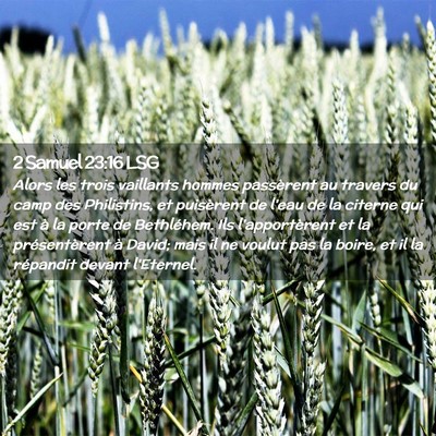 Picture 02 - 2 Samuel 23:16 LSG - Alors les trois vaillants hommes passèrent au - Bible Verse Picture