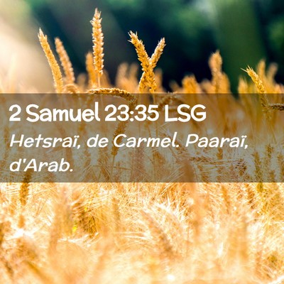 Picture 02 - 2 Samuel 23:35 LSG - Hetsraï, de Carmel. Paaraï, - Bible Verse Picture