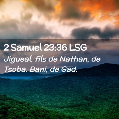 Picture 02 - 2 Samuel 23:36 LSG - Jigueal, fils de Nathan, de Tsoba. Bani, de - Bible Verse Picture