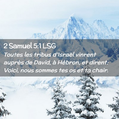 Picture 02 - 2 Samuel 5:1 LSG - Toutes les tribus d'Israël vinrent auprès de - Bible Verse Picture