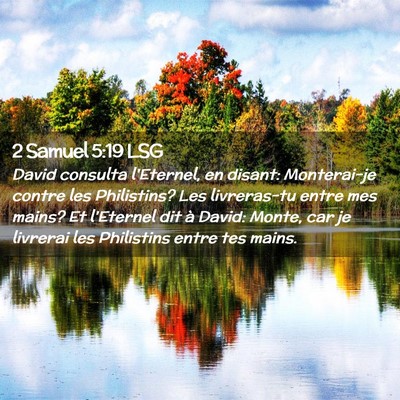 Picture 02 - 2 Samuel 5:19 LSG - David consulta l'Eternel, en disant: Monterai-je - Bible Verse Picture