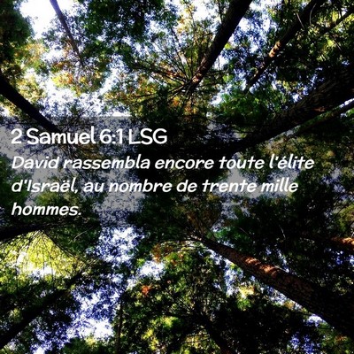 Picture 02 - 2 Samuel 6:1 LSG - David rassembla encore toute l'élite d'Israël, - Bible Verse Picture