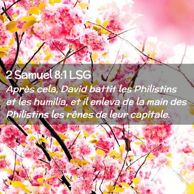 Picture 02 - 2 Samuel 8:1 LSG - Après cela, David battit les Philistins et les - Bible Verse Picture