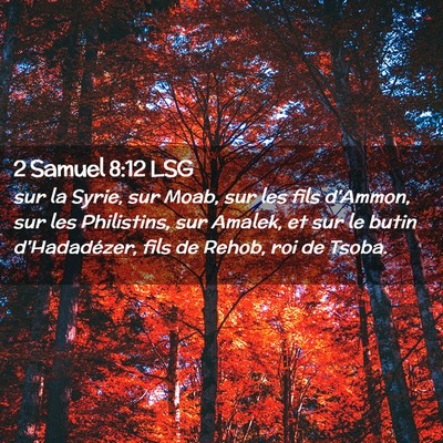 Picture 02 - 2 Samuel 8:12 LSG - sur la Syrie, sur Moab, sur les fils d'Ammon, sur - Bible Verse Picture