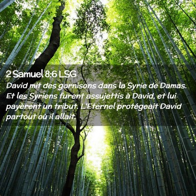 Picture 02 - 2 Samuel 8:6 LSG - David mit des garnisons dans la Syrie de Damas. - Bible Verse Picture