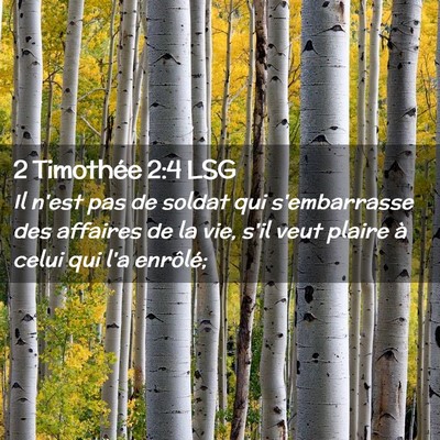 Picture 02 - 2 Timothée 2:4 LSG - Il n'est pas de soldat qui s'embarrasse des - Bible Verse Picture