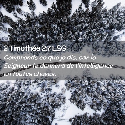 Picture 02 - 2 Timothée 2:7 LSG - Comprends ce que je dis, car le Seigneur te - Bible Verse Picture