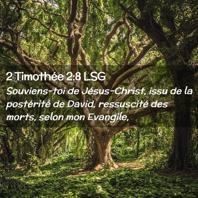Picture 02 - 2 Timothée 2:8 LSG - Souviens-toi de Jésus-Christ, issu de la - Bible Verse Picture