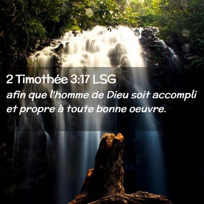 Picture 02 - 2 Timothée 3:17 LSG - afin que l'homme de Dieu soit accompli et propre - Bible Verse Picture