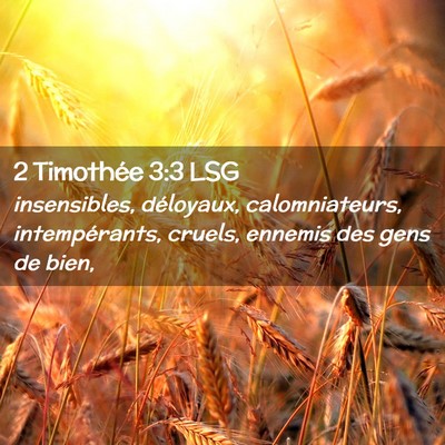Picture 02 - 2 Timothée 3:3 LSG - insensibles, déloyaux, calomniateurs, - Bible Verse Picture
