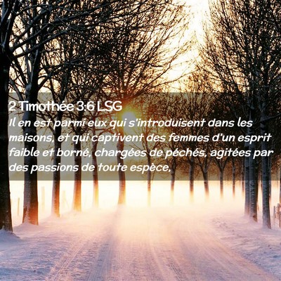 Picture 02 - 2 Timothée 3:6 LSG - Il en est parmi eux qui s'introduisent dans les - Bible Verse Picture