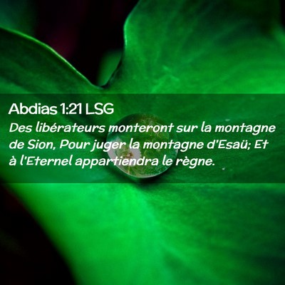 Picture 02 - Abdias 1:21 LSG - Des libérateurs monteront sur la montagne de - Bible Verse Picture