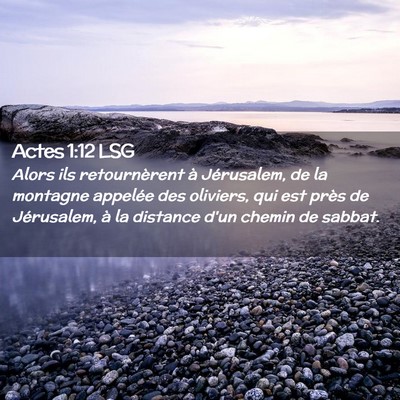 Picture 02 - Actes 1:12 LSG - Alors ils retournèrent à Jérusalem, de la - Bible Verse Picture