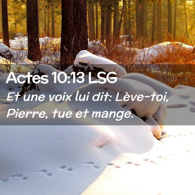 Picture 02 - Actes 10:13 LSG - Et une voix lui dit: Lève-toi, Pierre, tue et - Bible Verse Picture