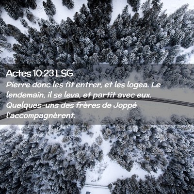 Picture 02 - Actes 10:23 LSG - Pierre donc les fit entrer, et les logea. Le - Bible Verse Picture