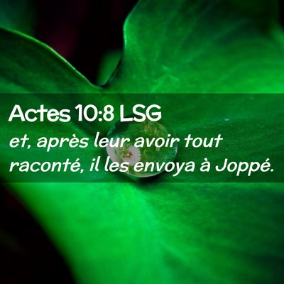 Picture 02 - Actes 10:8 LSG - et, après leur avoir tout raconté, il les - Bible Verse Picture