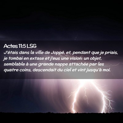 Picture 02 - Actes 11:5 LSG - J'étais dans la ville de Joppé, et, pendant que - Bible Verse Picture