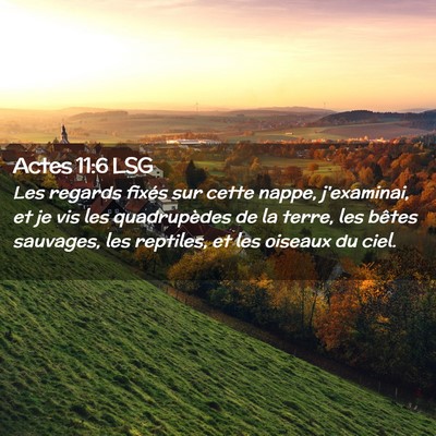 Picture 02 - Actes 11:6 LSG - Les regards fixés sur cette nappe, j'examinai, - Bible Verse Picture