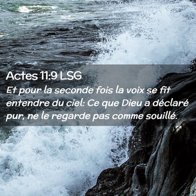 Picture 02 - Actes 11:9 LSG - Et pour la seconde fois la voix se fit entendre - Bible Verse Picture