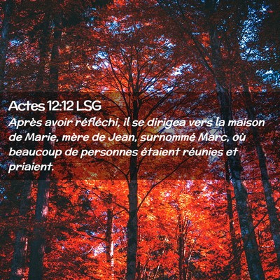 Picture 02 - Actes 12:12 LSG - Après avoir réfléchi, il se dirigea vers la - Bible Verse Picture
