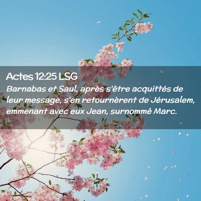 Picture 02 - Actes 12:25 LSG - Barnabas et Saul, après s'être acquittés de - Bible Verse Picture