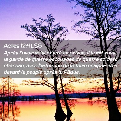 Picture 02 - Actes 12:4 LSG - Après l'avoir saisi et jeté en prison, il le - Bible Verse Picture