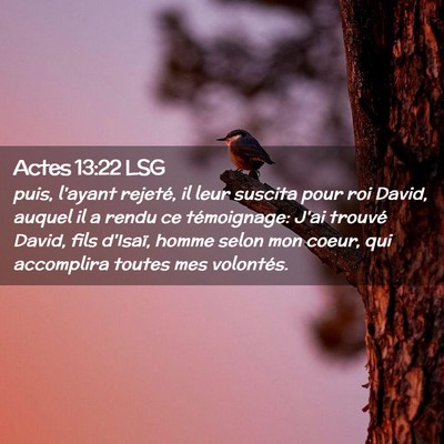 Picture 02 - Actes 13:22 LSG - puis, l'ayant rejeté, il leur suscita pour roi - Bible Verse Picture