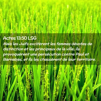 Picture 02 - Actes 13:50 LSG - Mais les Juifs excitèrent les femmes dévotes de - Bible Verse Picture