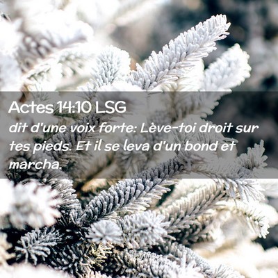 Picture 02 - Actes 14:10 LSG - dit d'une voix forte: Lève-toi droit sur tes - Bible Verse Picture
