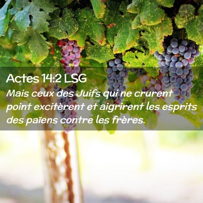Picture 02 - Actes 14:2 LSG - Mais ceux des Juifs qui ne crurent point - Bible Verse Picture