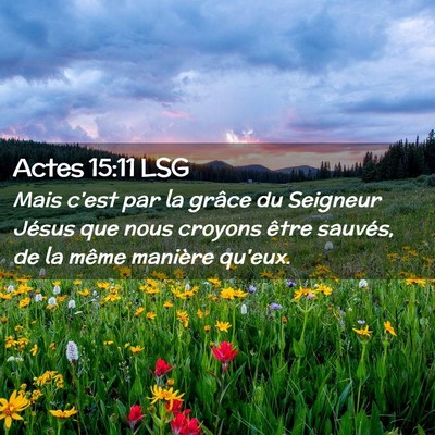 Picture 02 - Actes 15:11 LSG - Mais c'est par la grâce du Seigneur Jésus que - Bible Verse Picture