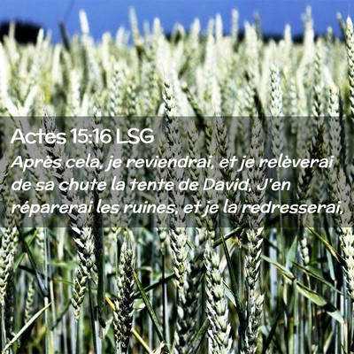 Picture 02 - Actes 15:16 LSG - Après cela, je reviendrai, et je relèverai de - Bible Verse Picture