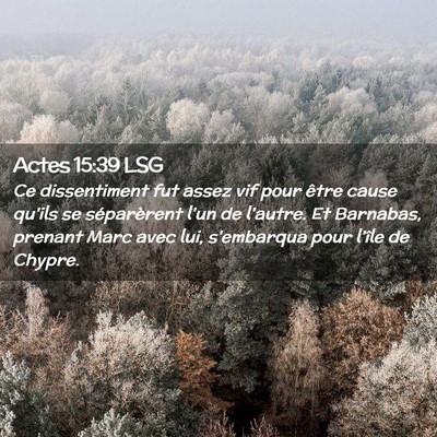 Picture 02 - Actes 15:39 LSG - Ce dissentiment fut assez vif pour être cause - Bible Verse Picture