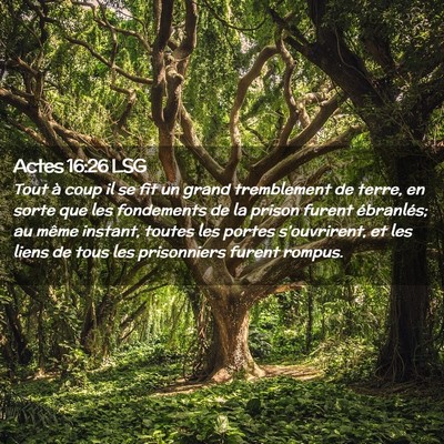 Picture 02 - Actes 16:26 LSG - Tout à coup il se fit un grand tremblement de - Bible Verse Picture