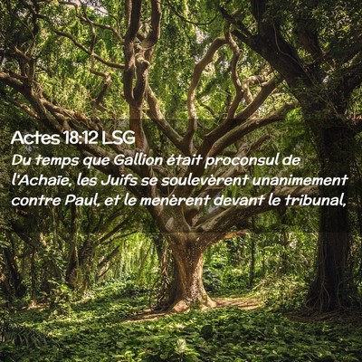 Picture 02 - Actes 18:12 LSG - Du temps que Gallion était proconsul de - Bible Verse Picture