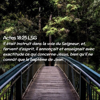 Picture 02 - Actes 18:25 LSG - Il était instruit dans la voie du Seigneur, et, - Bible Verse Picture