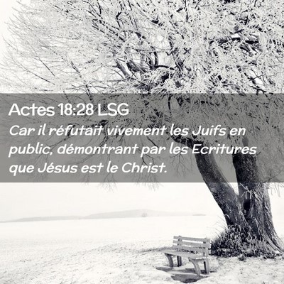 Picture 02 - Actes 18:28 LSG - Car il réfutait vivement les Juifs en public, - Bible Verse Picture