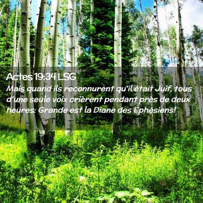 Picture 02 - Actes 19:34 LSG - Mais quand ils reconnurent qu'il était Juif, - Bible Verse Picture