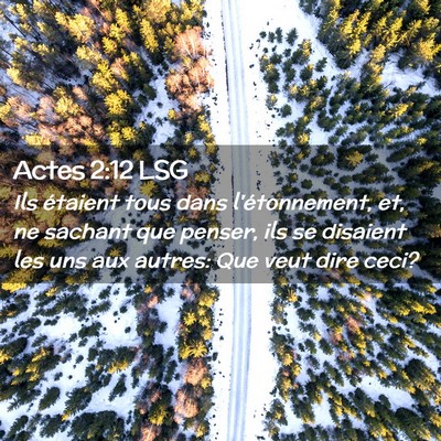 Picture 02 - Actes 2:12 LSG - Ils étaient tous dans l'étonnement, et, ne - Bible Verse Picture