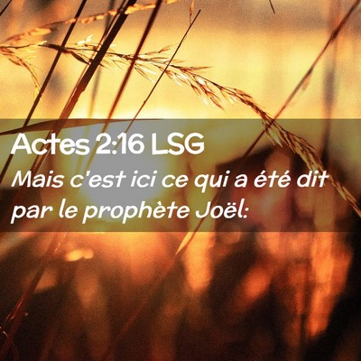 Picture 02 - Actes 2:16 LSG - Mais c'est ici ce qui a été dit par le - Bible Verse Picture