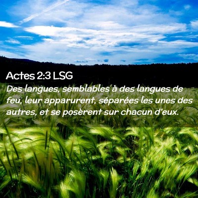 Picture 02 - Actes 2:3 LSG - Des langues, semblables à des langues de feu, - Bible Verse Picture