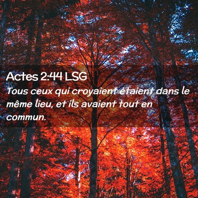 Picture 02 - Actes 2:44 LSG - Tous ceux qui croyaient étaient dans le même - Bible Verse Picture