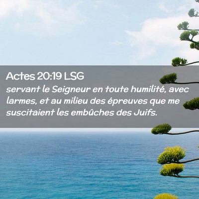 Picture 02 - Actes 20:19 LSG - servant le Seigneur en toute humilité, avec - Bible Verse Picture