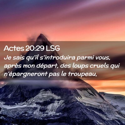 Picture 02 - Actes 20:29 LSG - Je sais qu'il s'introduira parmi vous, après mon - Bible Verse Picture