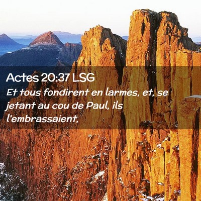 Picture 02 - Actes 20:37 LSG - Et tous fondirent en larmes, et, se jetant au cou - Bible Verse Picture
