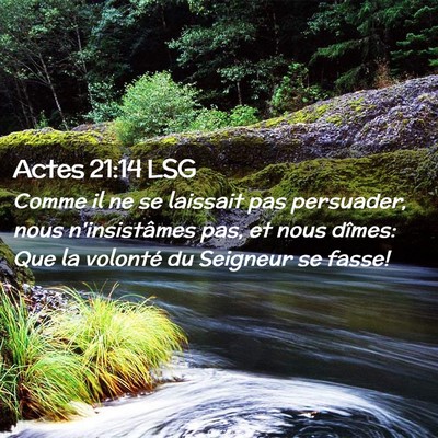 Picture 02 - Actes 21:14 LSG - Comme il ne se laissait pas persuader, nous - Bible Verse Picture